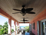 Coral Cay