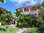 Coral Cay