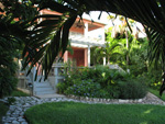 Coral Cay